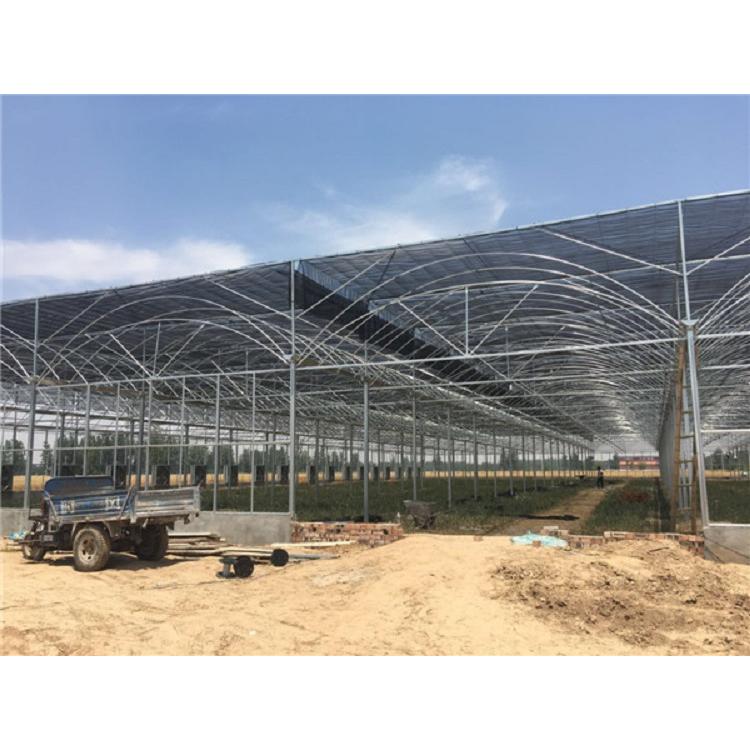山东薄膜连栋温室建造商 薄膜温室承建商