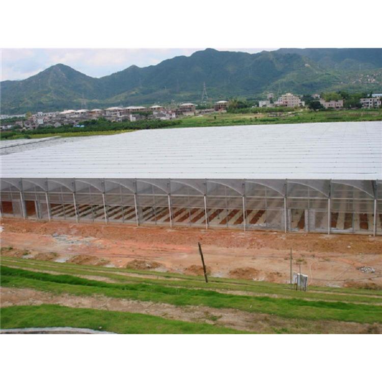 山东薄膜连栋温室承建商 连栋温室造价