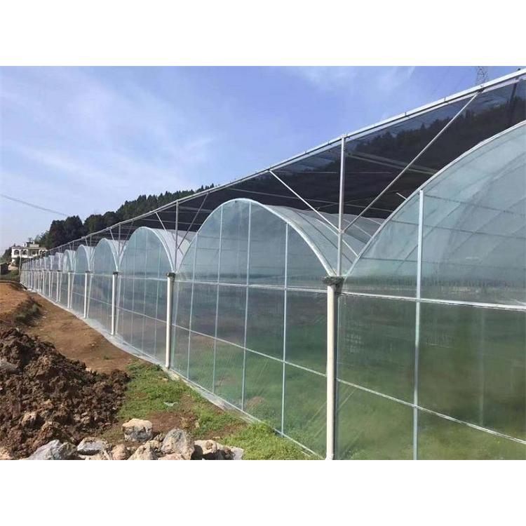 潍坊薄膜连栋温室造价 薄膜温室建造商