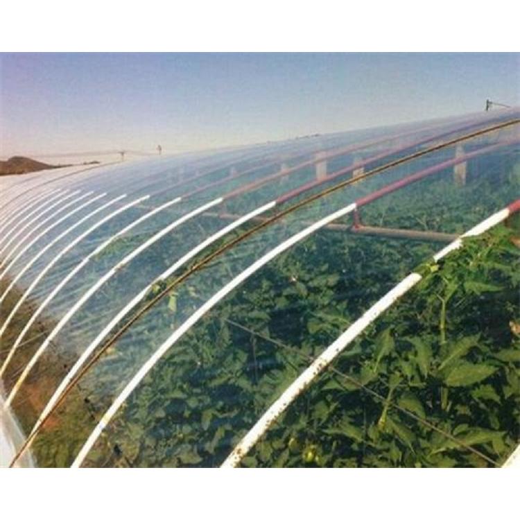 可定制大棚生态调光膜报价 大棚调光膜批发