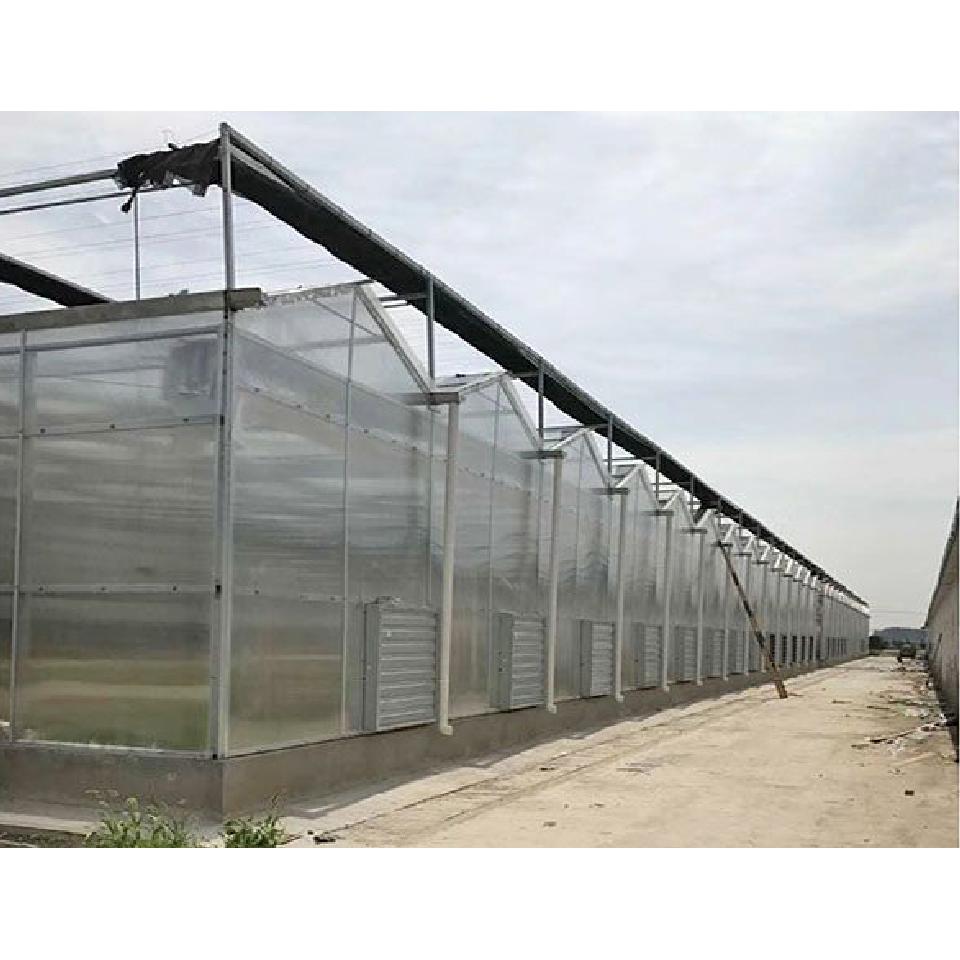 承建阳光板温室厂家 阳光板温室大棚设计建造_造价