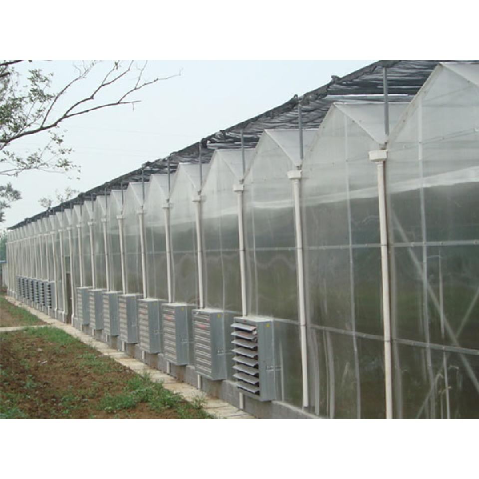 【天之蓝】承建阳光板温室工程 阳光板温室大棚设计建造