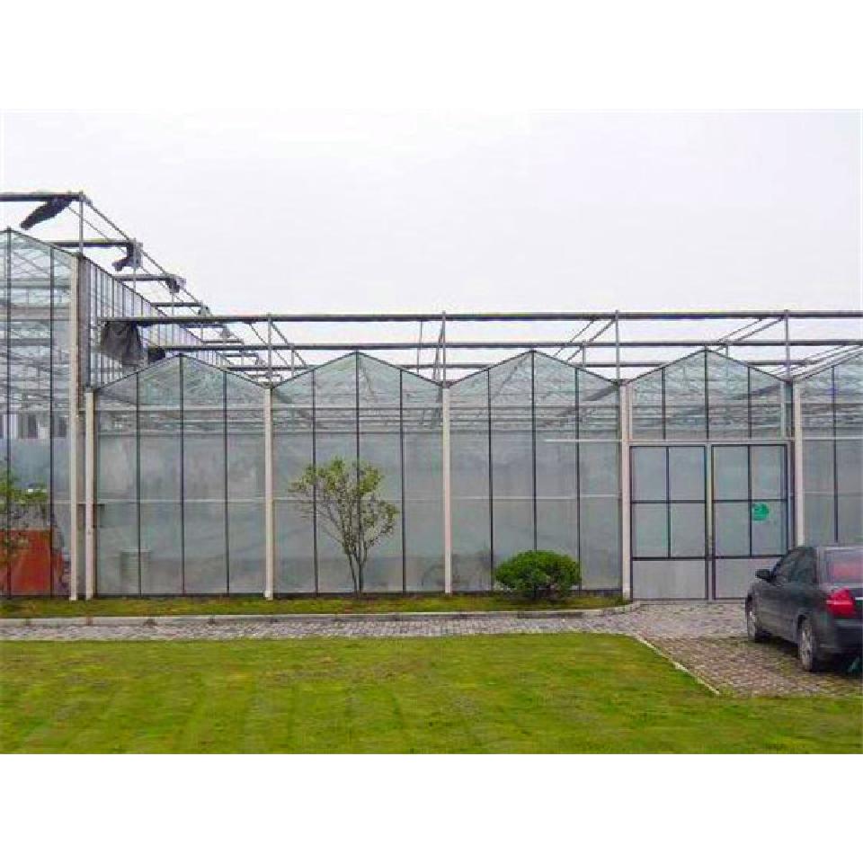阳光板温室工程 阳光板蔬菜温室建造商