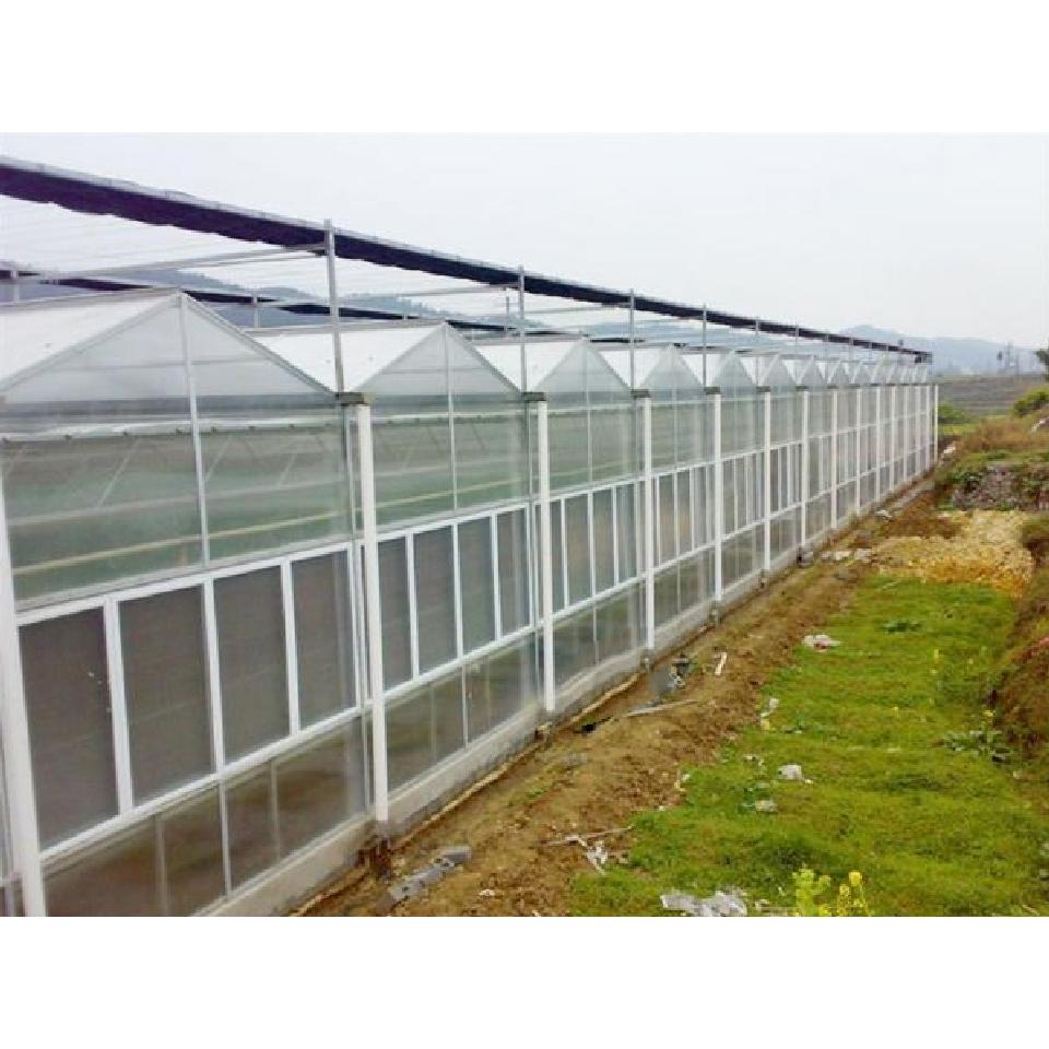 阳光板温室承建公司 青州阳光板温室蔬菜大棚 花卉大棚 展厅