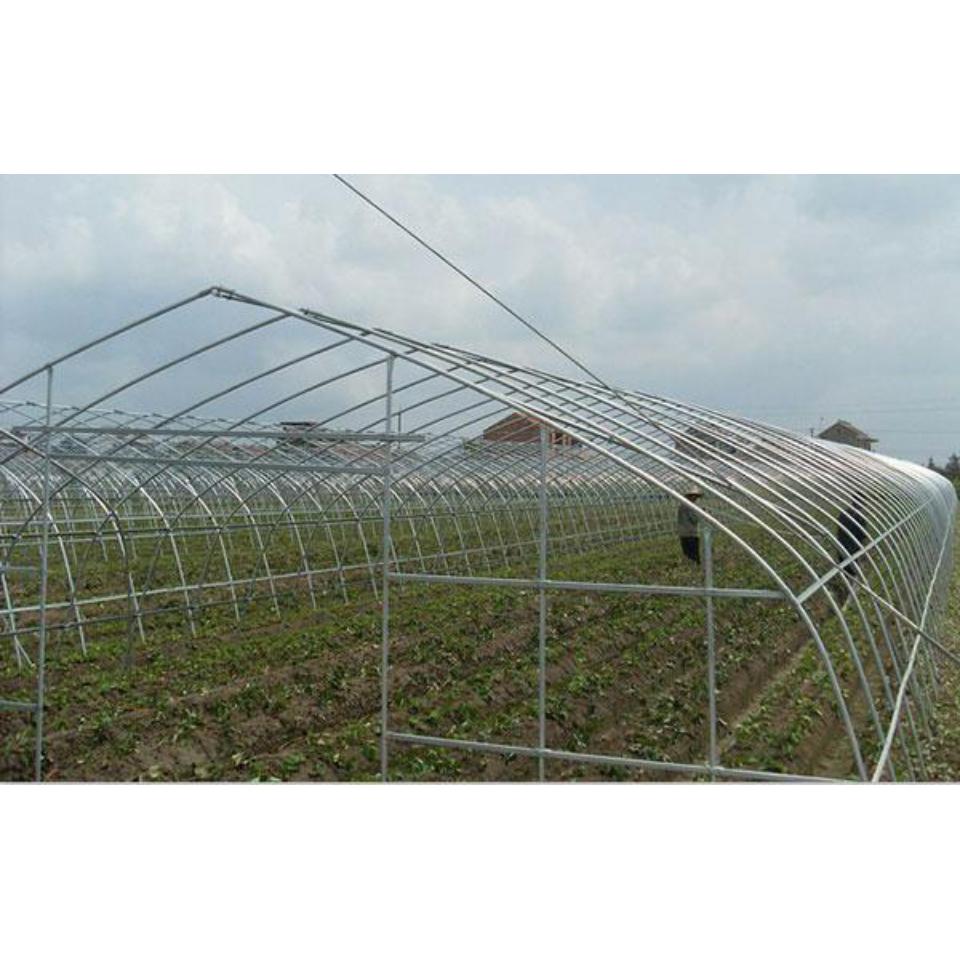 蔬菜大棚建设_专业供应蔬菜大棚骨架