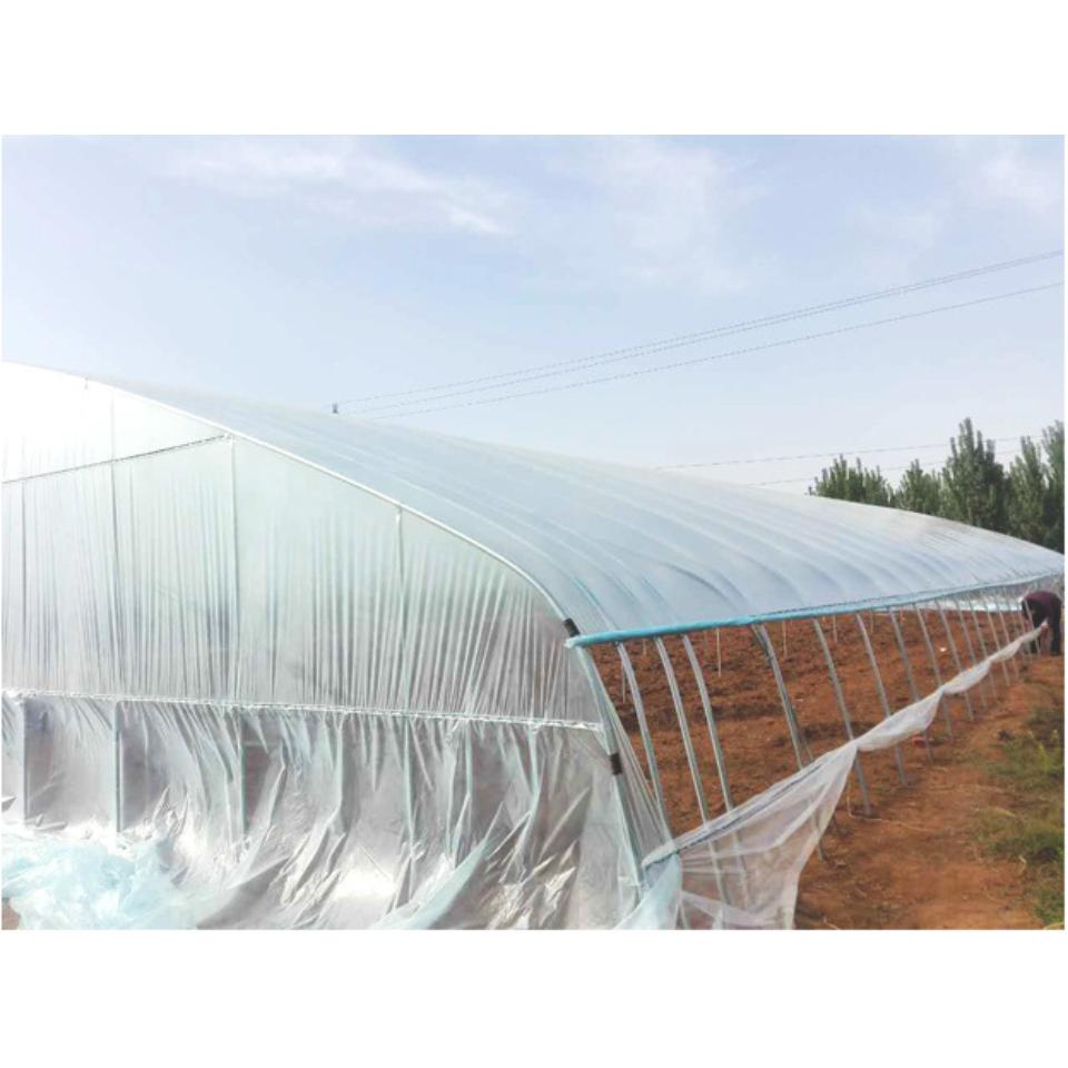 承接温室大棚建造_蔬菜大棚_大棚养殖安装定制
