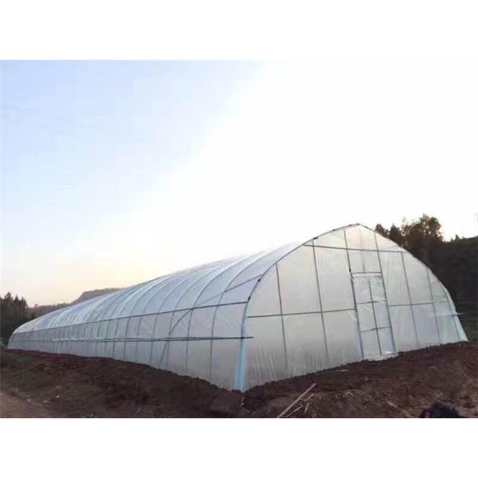 承建畜牧养殖单拱温室 青州单拱大棚公司
