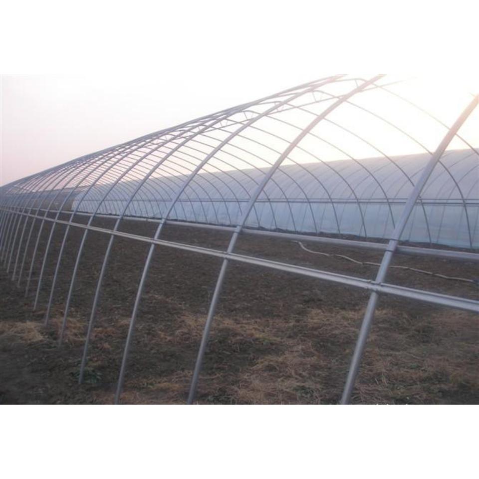 简易大棚 蔬菜温室大棚 供应镀锌工艺保温防虫钢架养殖大棚