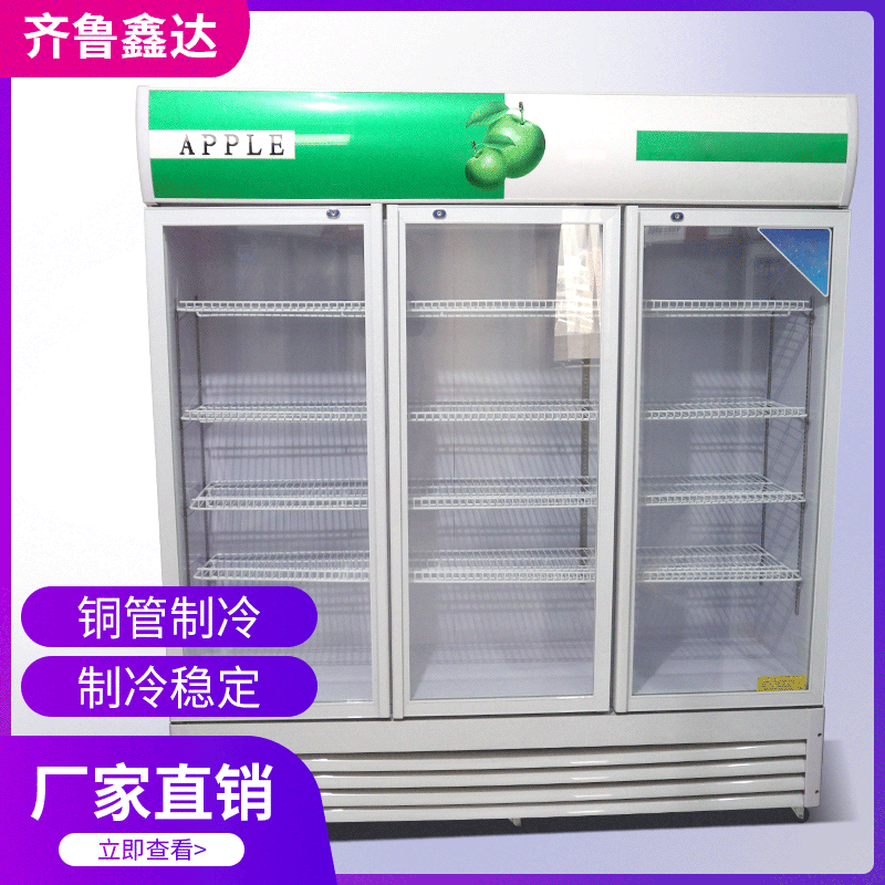 三门立式冷柜啤酒饮料柜 水果保鲜陈列展示柜 定制冷柜厨房设备