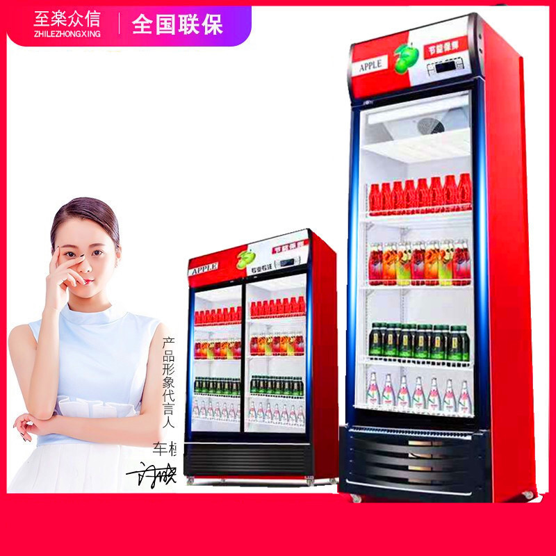 立式单门纯风冷啤酒柜 饮料冷藏陈列展示柜 铜管风冷啤酒柜饮料柜