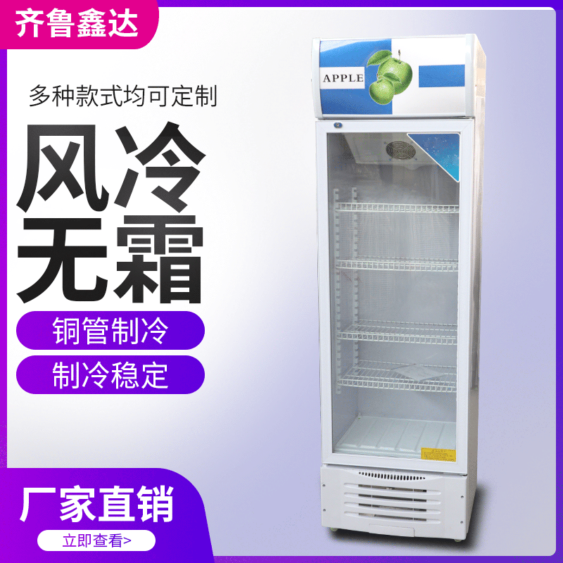 立式冰柜商用冰箱 单门啤酒饮料冷藏柜蔬菜保鲜展示柜