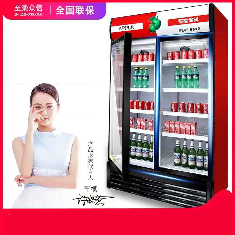 定做立式双门啤酒展示柜 水果保鲜陈列柜饮料展示柜 纯风冷啤酒柜
