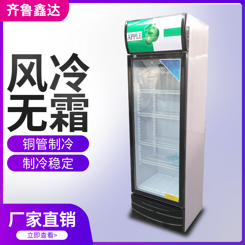 立式展示柜 单门啤酒柜 水果保鲜陈列柜 饮料展示柜 冷柜厂家直销