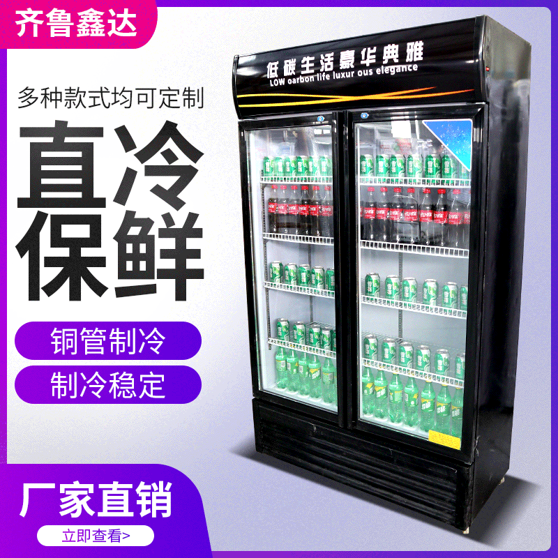双门冷藏柜 商用两门立式超市冰箱饮料啤酒冰柜 黑色豪华啤酒柜
