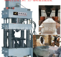 东城液压厂家爆款热销500吨全自动牛羊舔砖液压机 创新服务发展