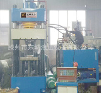 滨州用户定制东城液压机500吨全自动牛羊舔砖液压机 速度快密度高
