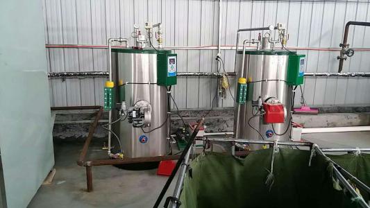 供应0.7吨燃气蒸汽发生器 700公斤蒸汽发生器厂家直销