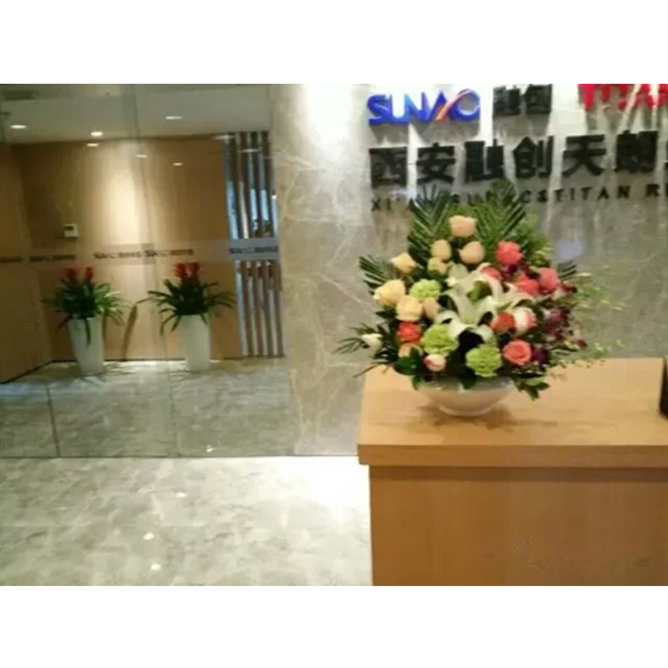 绿植租赁_专业绿化商务上门设计租赁方案_租赁一站式服务