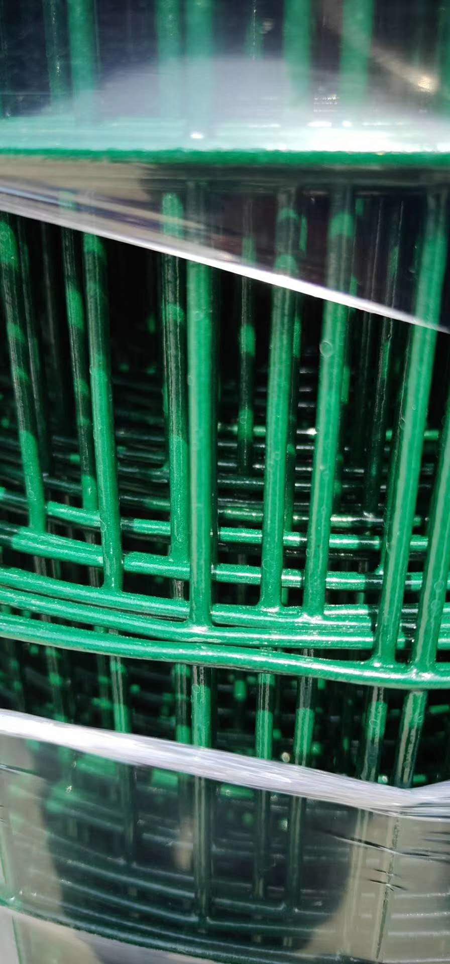 厂家荷兰网养殖网定制 供应荷兰网养殖网质量保证