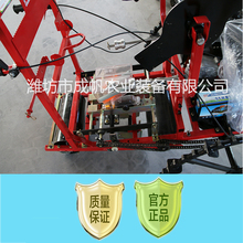 成帆萝卜菠菜种子精播机播种机种植机