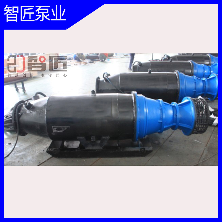 防汛轴流泵_雨水泵站专用轴流泵_潜水轴流泵现货