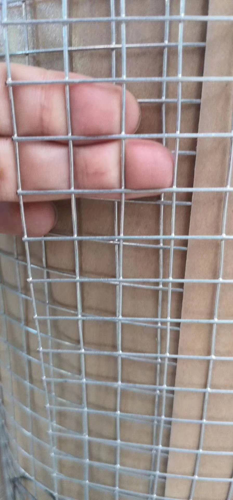 广东电焊网厂直销中山电焊网佛山铁丝网广东电焊网铁丝网