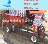 河南用的蔬菜移栽机_菜苗移栽机_移栽铺膜一体机