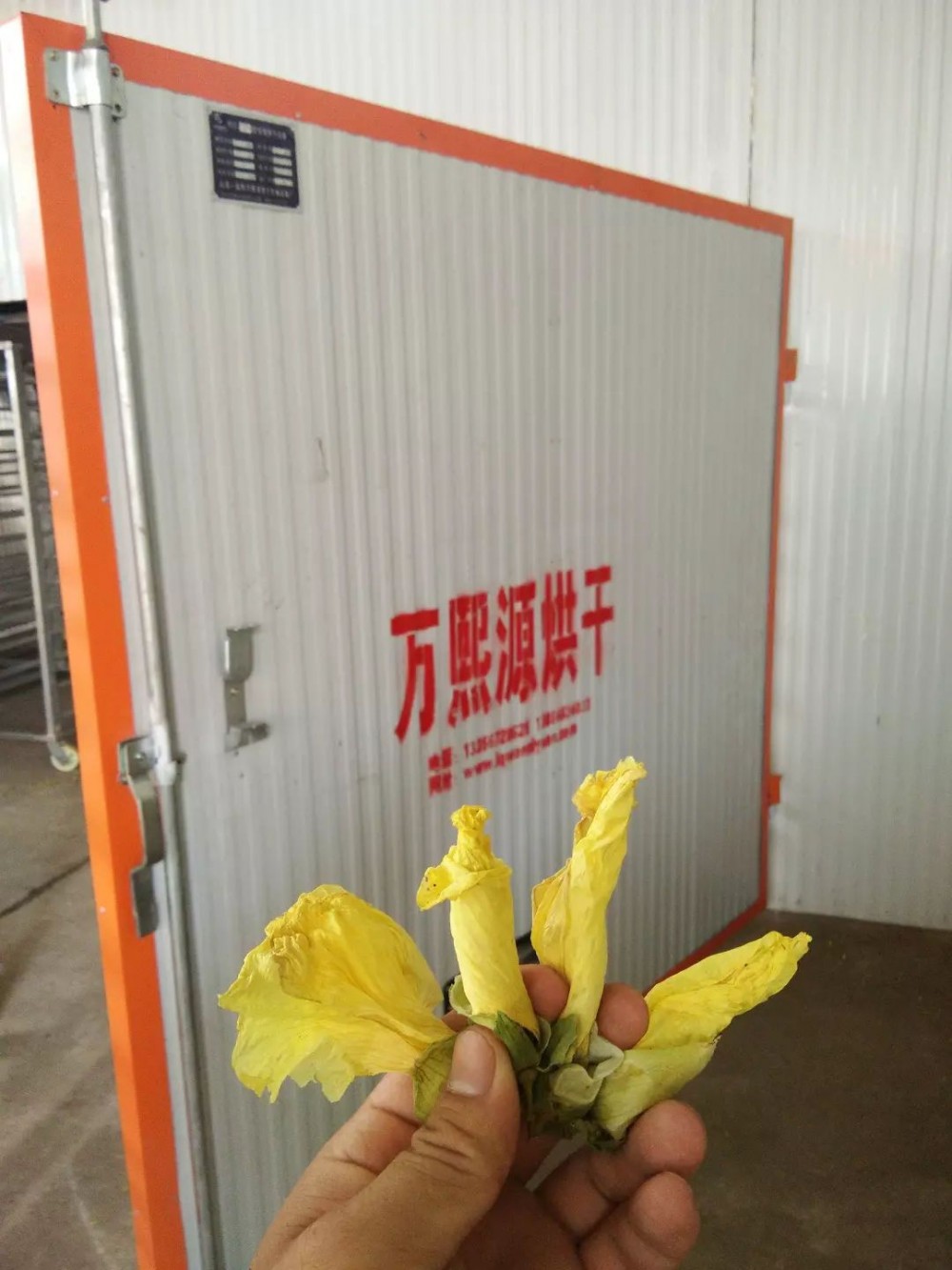 金花葵烘干机/黄秋葵烘干设备   厂家直销