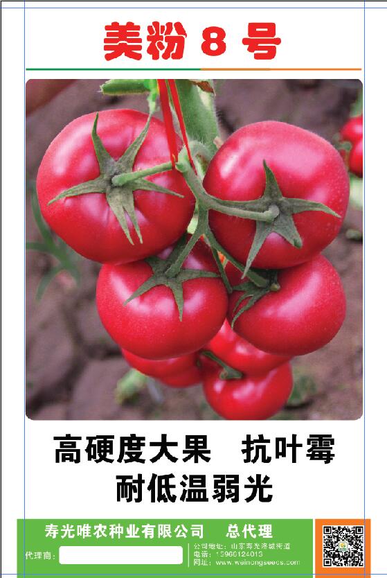 寿光蔬菜种子抗镰刀菌根腐番茄种子-抗死棵西红柿种子-越冬耐寒番茄种子