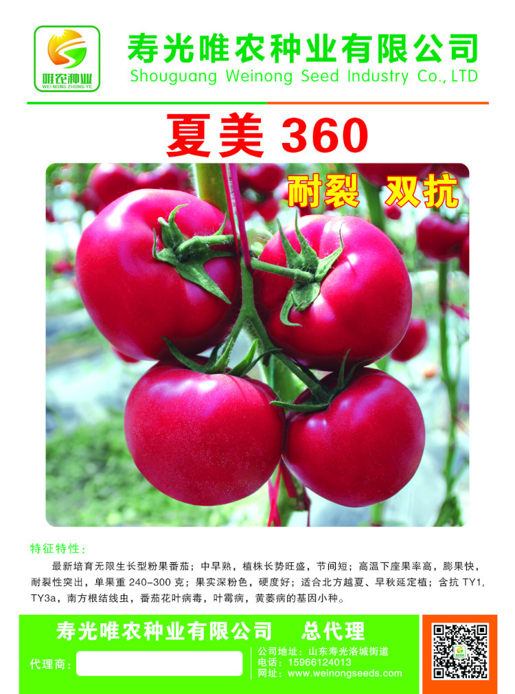寿光抗褪绿病毒番茄种子-抗线虫-越夏耐热-抗死棵粉果番茄西红柿种子