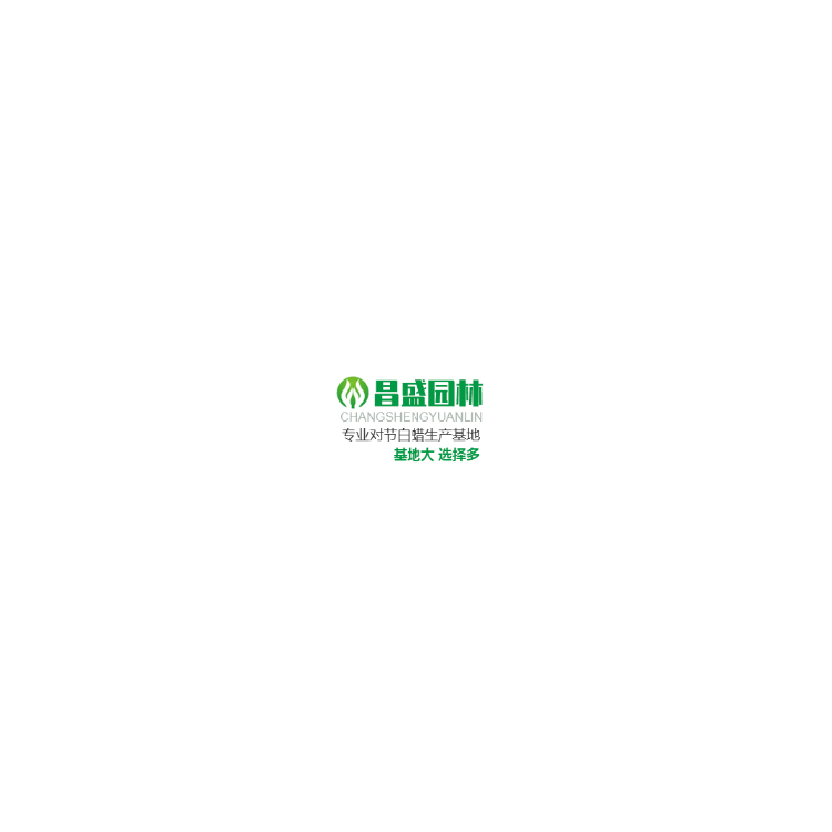 湖北京山昌盛园林有限公司