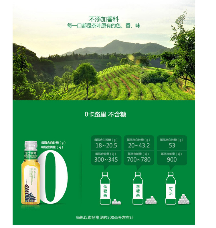 农夫山泉总代理 茶饮料批发 东方树叶500ml*15瓶