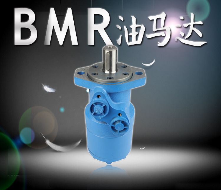 低速大扭矩BMR液压马达