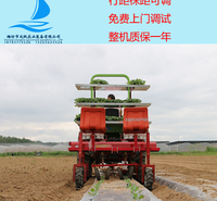 30马力拖拉机就可以带动的鸭嘴式栽苗机移栽机成帆移栽机