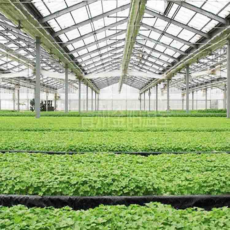 青州市金阳温室工程有限公司