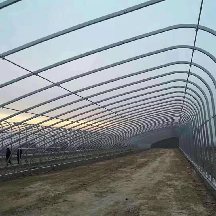 按需定制温室大棚蔬菜大棚养殖大棚大棚骨架