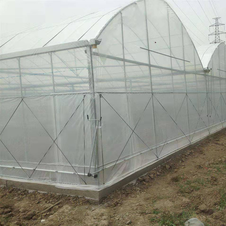 连体温室大棚生产厂家 材质保证  新型温室大棚认准盛之翔