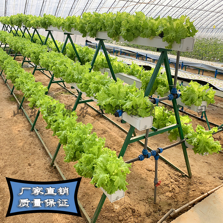 A字架栽培 草莓蔬菜种植架 无土栽培 水培蔬菜营养土种植草莓