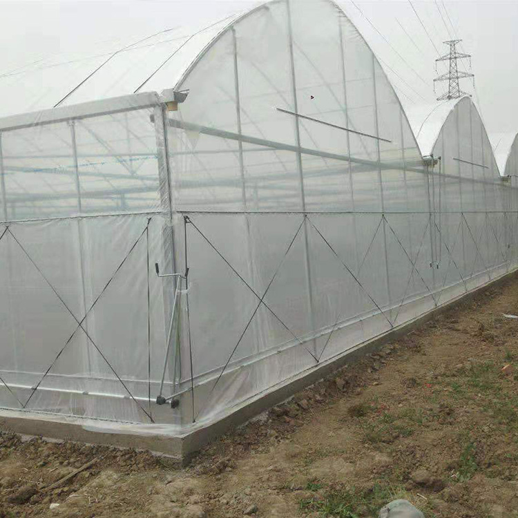 量身定制温室蔬菜大棚_大棚骨架_连栋大棚
