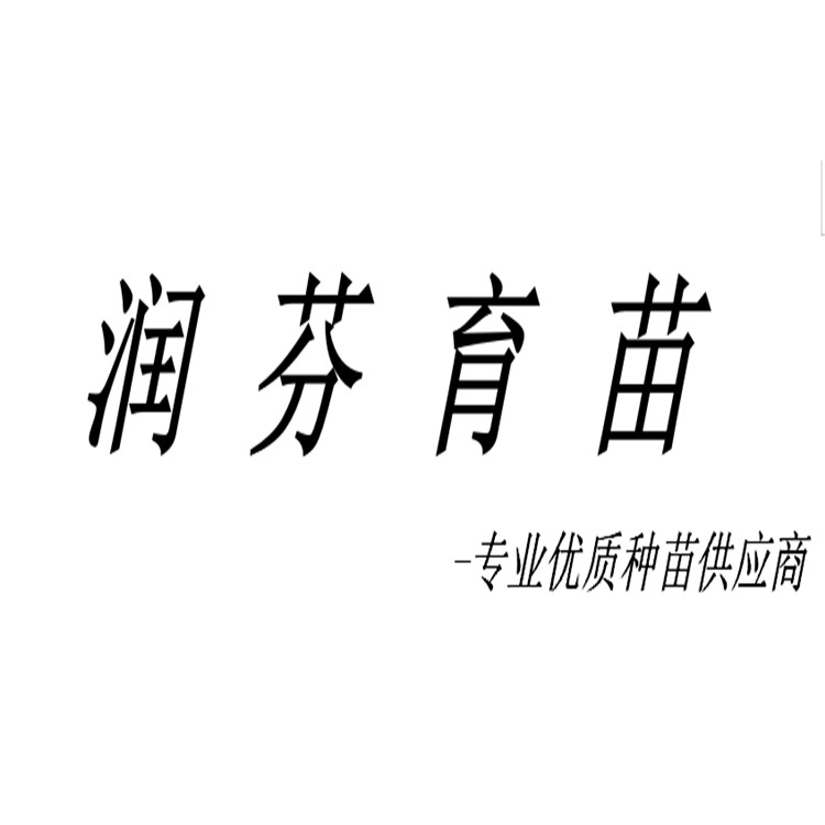 寿光市润芬育苗场