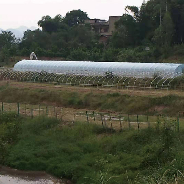 盛之翔温室建造蔬菜大棚大棚骨架