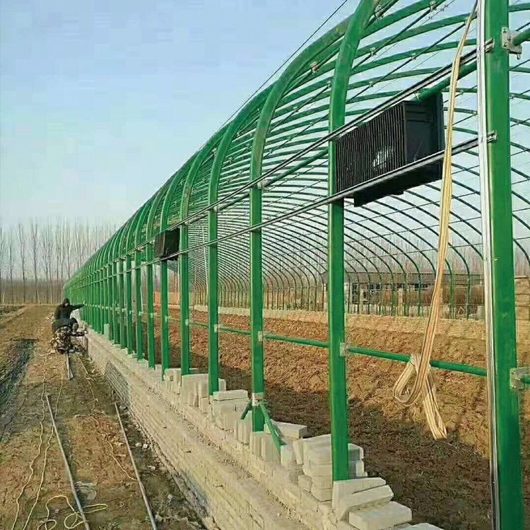 绿色蔬菜大棚蔬菜种植大棚专业供应厂家直销
