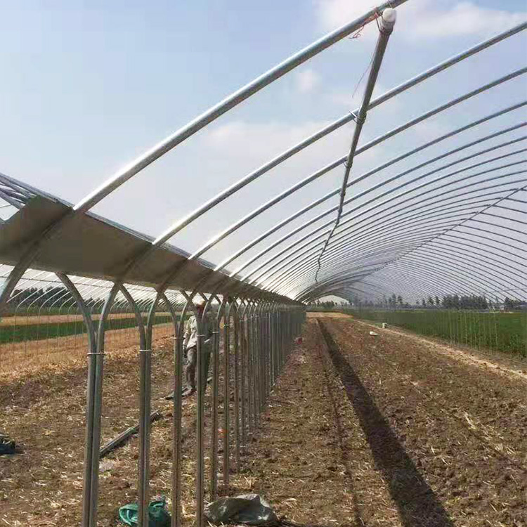 专业种植蔬菜大棚温室大棚建设大棚骨架供应