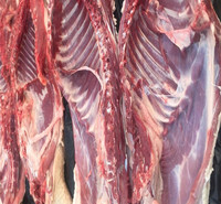 陕西豪猪肉生产基地  陕西豪猪肉价格