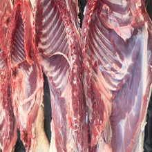 陕西豪猪肉生产基地  陕西豪猪肉价格