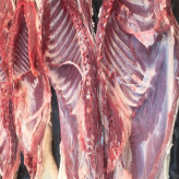 陕西豪猪肉生产基地  陕西豪猪肉价格