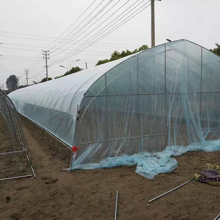 江苏薄膜连栋大棚生产厂家 蔬菜大棚骨架 找盛之翔