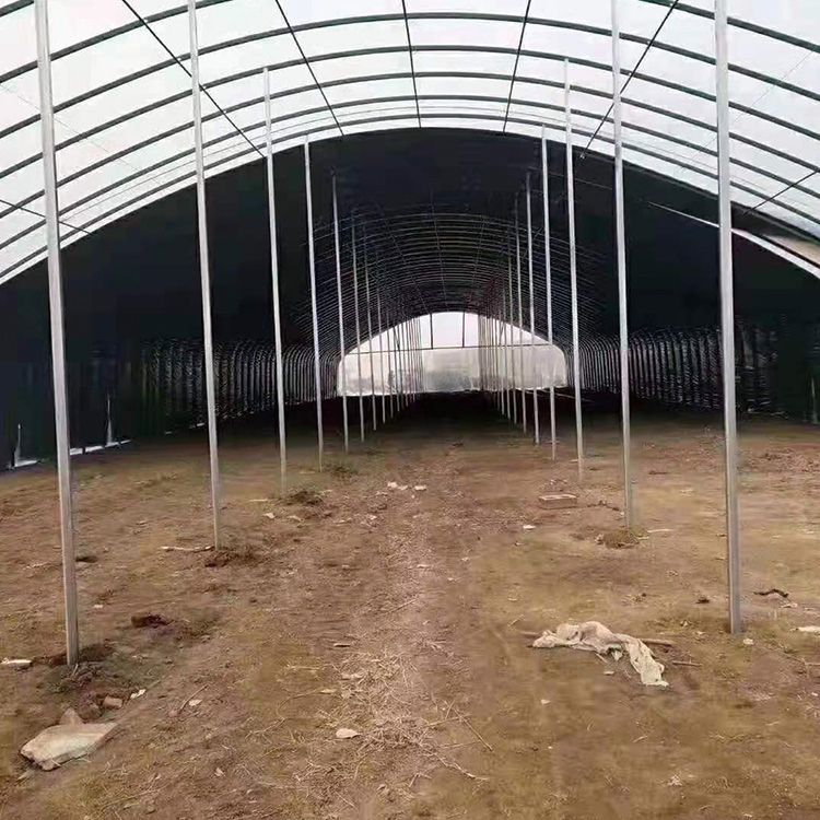 厂家货源_优质蔬菜大棚_大棚养殖_新型温室大棚