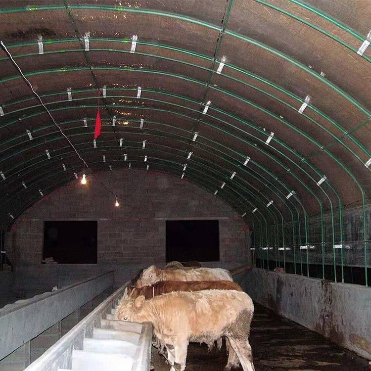 徐州盛之翔专业供应连栋大棚_连栋温室大棚_大棚造价