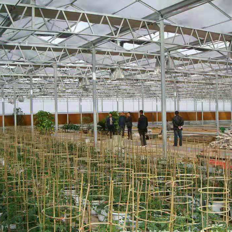 连体大棚生产厂家_专业供应连体温室大棚